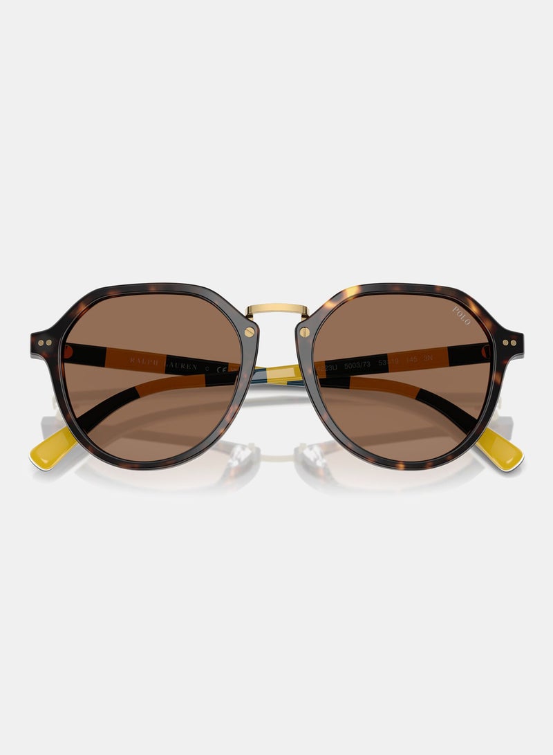 بولو نظارة شمسية بإطار كامل فانتوس 4223U, 53, 5003, 73 - Image 4